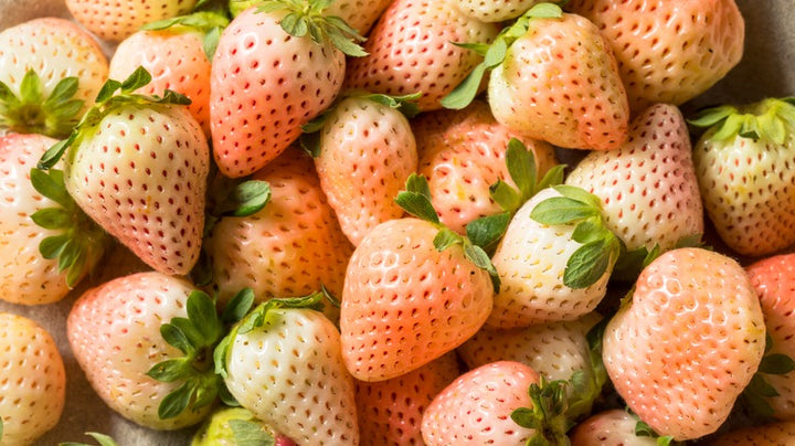 Cream Strawberry Fruit seeds – Heirloom, Non-GMO Seeds for Planting Unique White Berry Fruits