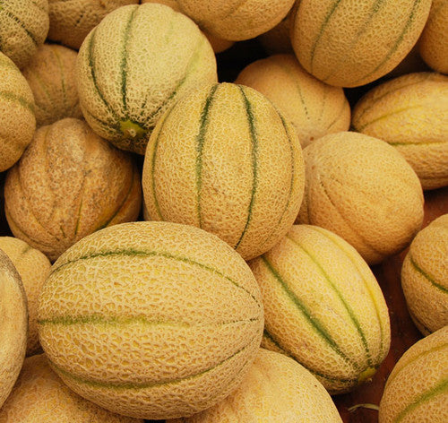 Collective Farm Woman Melon Seeds – Heirloom Non-GMO Sweet Yellow Fruit Seeds for Planting
