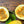 Yellow Passion Fruit seeds – Heirloom, Non-GMO seeds for Planting Lush Tropical Garden Vines