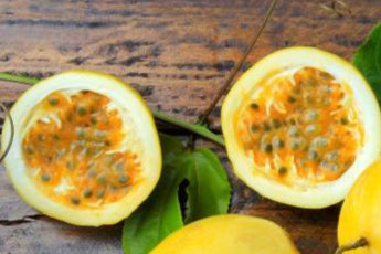 Yellow Passion Fruit seeds – Heirloom, Non-GMO seeds for Planting Lush Tropical Garden Vines