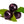 Fruit Seeds,Garden seeds, Seeds For Planting,Plant Seeds