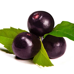 Fruit Seeds,Garden seeds, Seeds For Planting,Plant Seeds