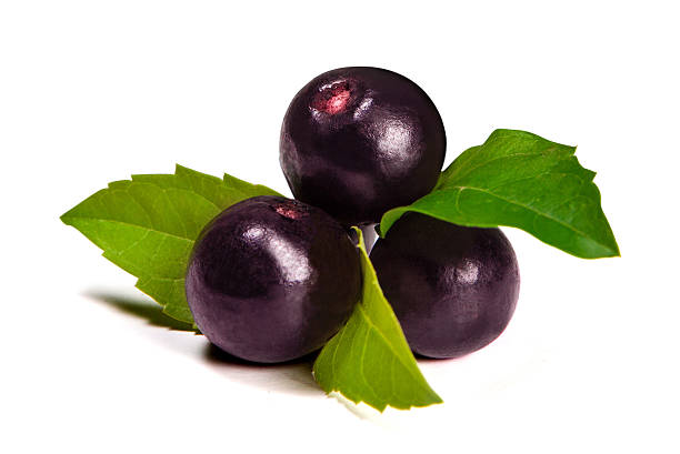 Fruit Seeds,Garden seeds, Seeds For Planting,Plant Seeds
