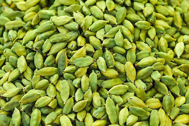 Green Cardamom Herb Seeds for Planting – Heirloom, Non-GMO, Organic Garden Seeds with High Germination
