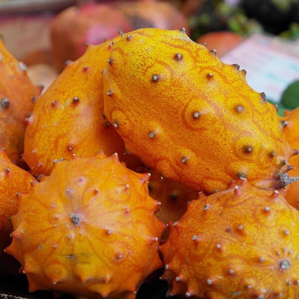 Cucumis Metuliferus Horned Melon Fruit Seeds – Heirloom, Non-GMO Seeds for Unique Home Garden Planting