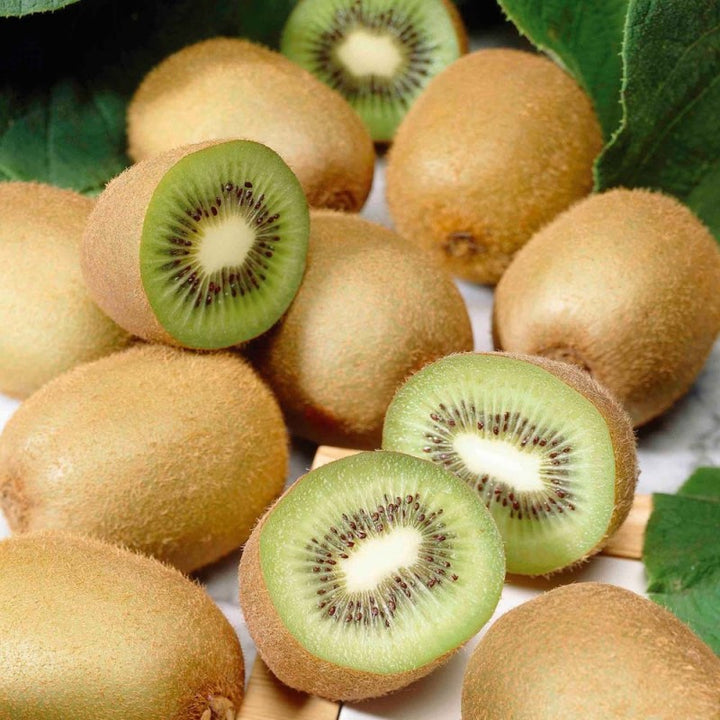 Green Kiwi Fruit seeds – Heirloom, Non-GMO Seeds for Planting Lush Fruit-Bearing Garden Plants