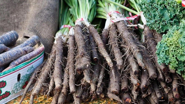 Salsify Seeds – Heirloom Non-GMO Unique Root Vegetable Seeds for Planting, Organic Garden Seeds, High Germination