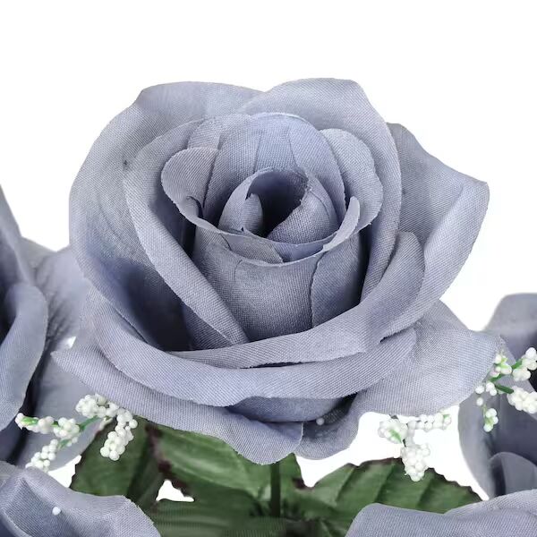 Gray Rose Flower Seeds for Planting – Heirloom, Non-GMO, Vibrant Colors, High Germination