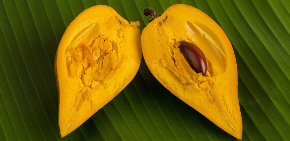 Lucuma Nervosa fruit seeds for planting - Heirloom & Non-GMO nutrient-rich fruit garden seeds
