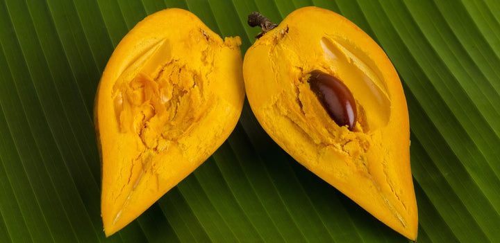 Lucuma Nervosa fruit seeds for planting - Heirloom & Non-GMO nutrient-rich fruit garden seeds