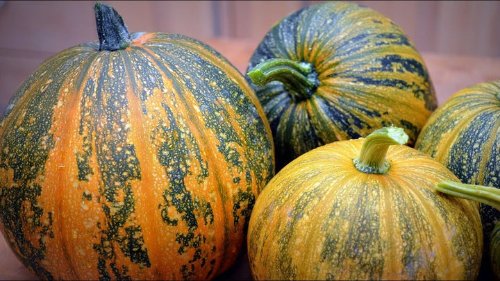 Kakai Hull-Less Pumpkin Fruit Seeds – Heirloom, Non-GMO Seeds for Organic Garden Planting