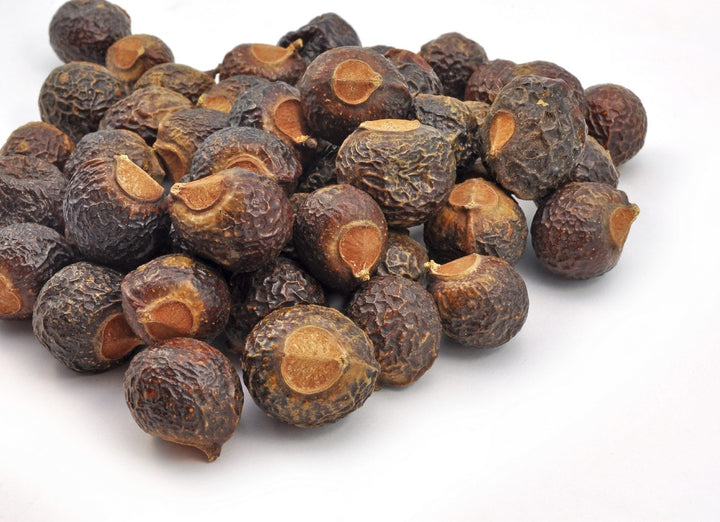 Soapberry Plant Seeds for Planting – Heirloom, Non-GMO Tree Seeds for Natural Cleansing Gardens