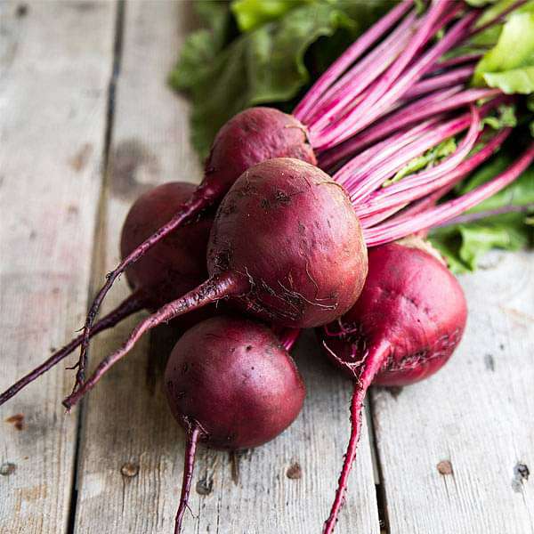 Maroon Red Beetroot Seeds for Planting – Heirloom Non-GMO High Germination Organic Garden Seeds, High-Yield Root Vegetable