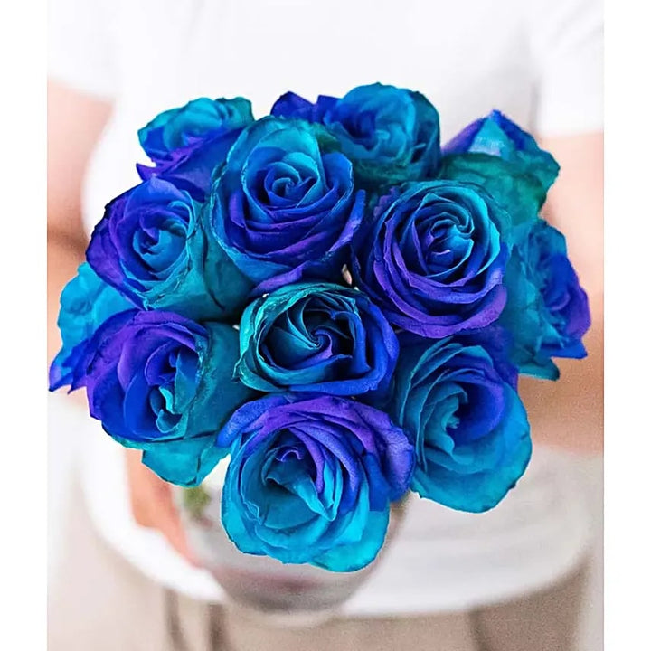 Sea Blue Rose Flower Seeds for Planting – Heirloom Non-GMO High Germination Organic Garden Seeds