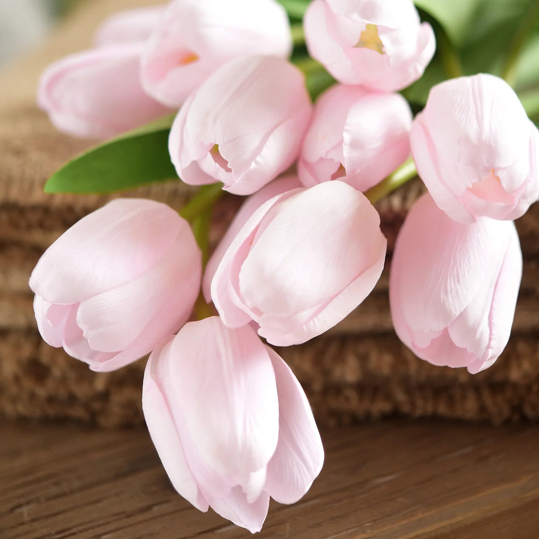 Light Pink Tulip Flower seeds for Planting – Sun Loving Heirloom, Non-GMO Seeds for Home Garden