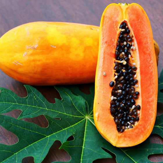 Dwarf Waimanalo Papaya fruit seeds for planting - Heirloom & Non-GMO garden seeds, compact early-harvest trees