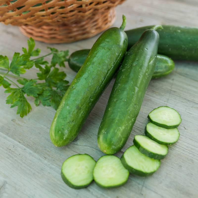 Vegetable Seeds,Garden seeds, Seeds For Planting,Plant Seeds