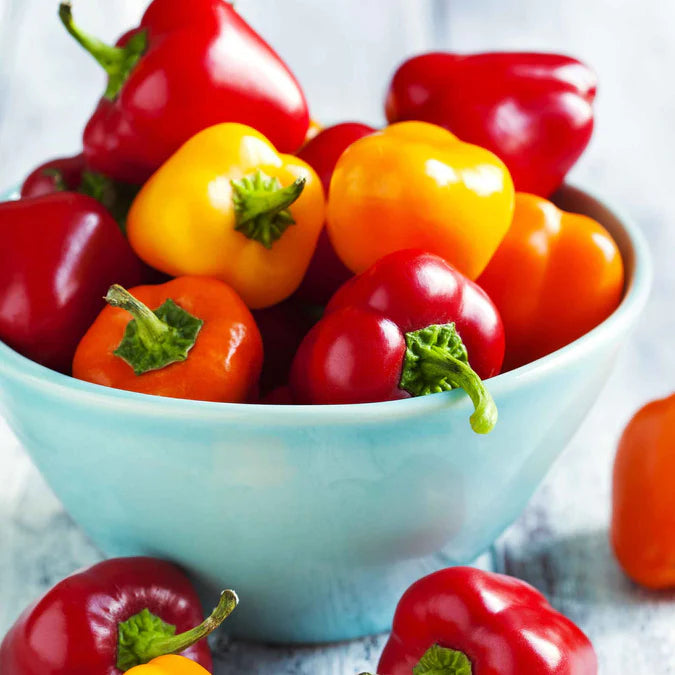 Nipple Pepper Vegetable SNipple Pepper Seeds for Planting – Heirloom Non-GMO Chili, Ornamental & Edible – Organic Garden Seeds with High Germinationeeds for Planting – Heirloom non-GMO chili, ornamental and edible – 100 pcs