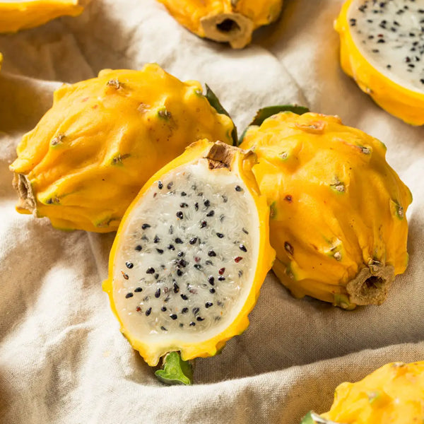 Yellow Dragon Fruit seeds for planting - Heirloom & Non-GMO garden seeds for tropical nutritious harvests