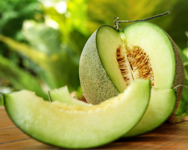 Green Dew Melon Fruit Seeds for Planting – Heirloom, Non-GMO Refreshing Aromatic Garden Fruit Seeds