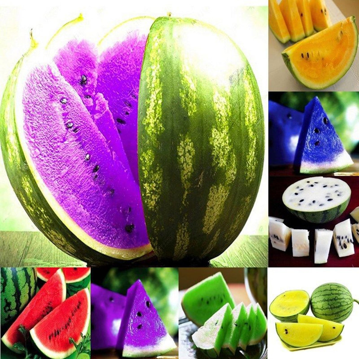 Multi-Colour Watermelon Fruit Seeds for Planting – Heirloom, Non-GMO Colorful Fun Garden Fruit Seeds