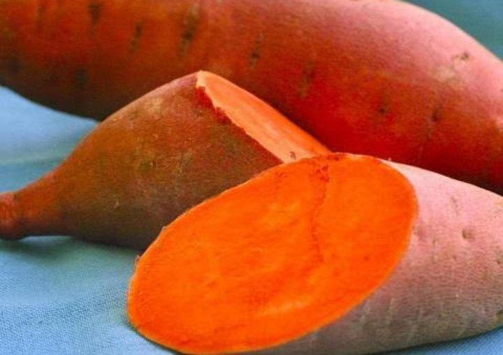 Red Orange Sweet Potato Seeds for Planting – Heirloom, Non-GMO, Nutritious Root Vegetable – High Germination
