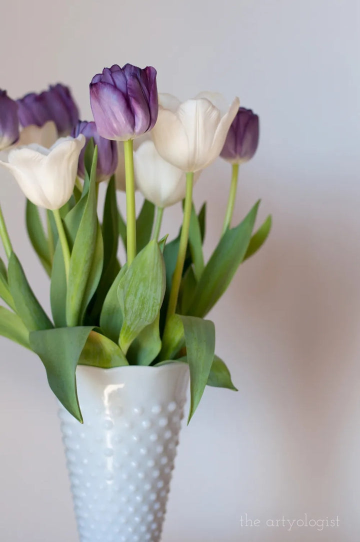 White Lavender Tulip Flower seeds for Planting – Drought Tolerant Heirloom Non-GMO Seeds for Home Garden