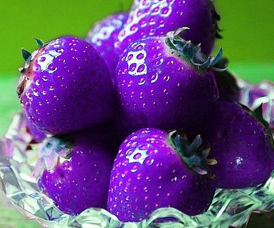 Fruit Seeds,Garden seeds, Seeds For Planting,Plant Seeds