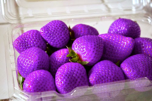 Purple Strawberry Fruit Seeds for Planting – Heirloom, Non-GMO Rare Flavorful Garden Berry Seeds