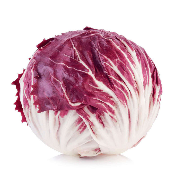 Burgundy Radicchio Vegetable Seeds for Planting – Heirloom &amp; Non-GMO Garden Seeds for Vibrant Salads