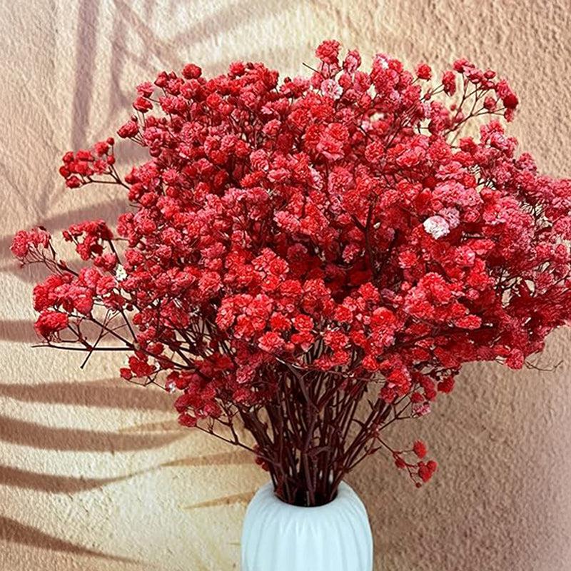 Green Anthurium Flower Seeds – Fragrant Blossoms, Heirloom, Non-GMO & High Germination Organic Garden Seeds