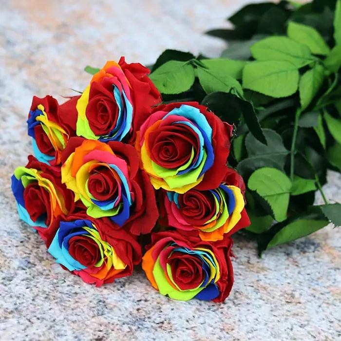 Mixed Color Rose Flower Seeds for Planting – Low Maintenance, Heirloom, Non-GMO &amp; High Germination Organic Garden Seeds