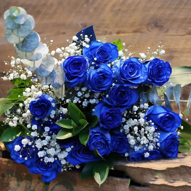 Dark Blue Rose Flower Seeds for Planting – Cottage Garden Essential, Heirloom, Non-GMO, High Germination Organic Garden Seeds