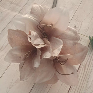 Flower Seeds, Seeds,Seeds For Planting,Plant Seeds