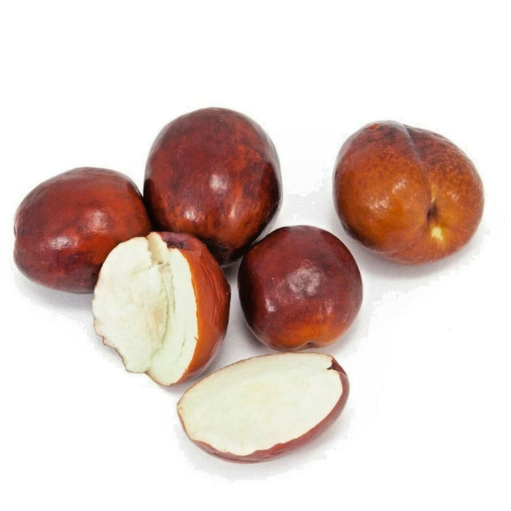 Shanlix Jujube Fruit seeds – Heirloom, Non-GMO Seeds for Planting Sweet Dried Homegrown Fruits