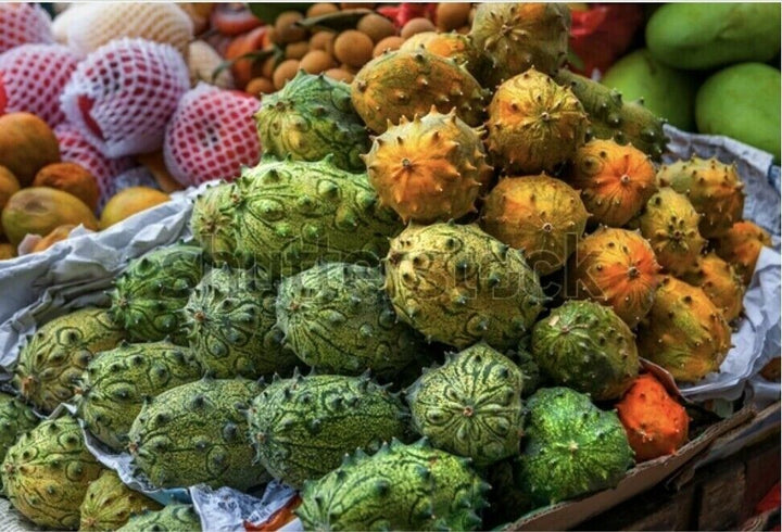 Kiwano Cucumis Fruit Seeds for Planting – Heirloom, Non-GMO, Exotic Spiky Garden Fruit Seeds