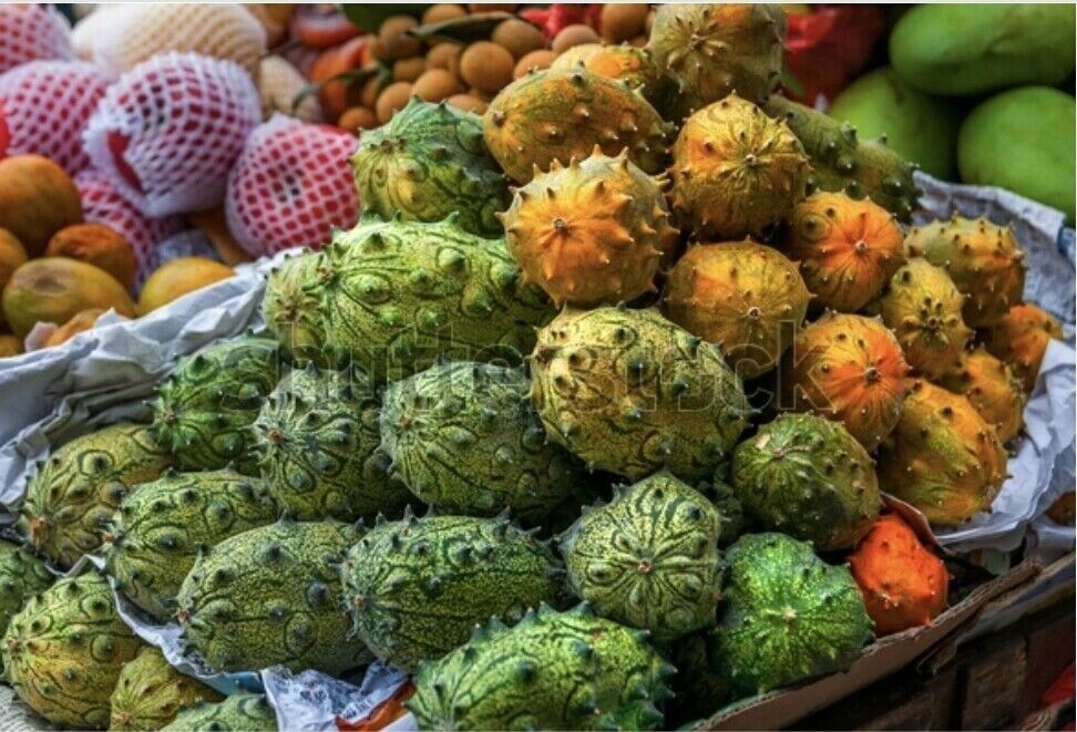 Kiwano Cucumis Fruit Seeds for Planting – Heirloom, Non-GMO, Exotic Spiky Garden Fruit Seeds