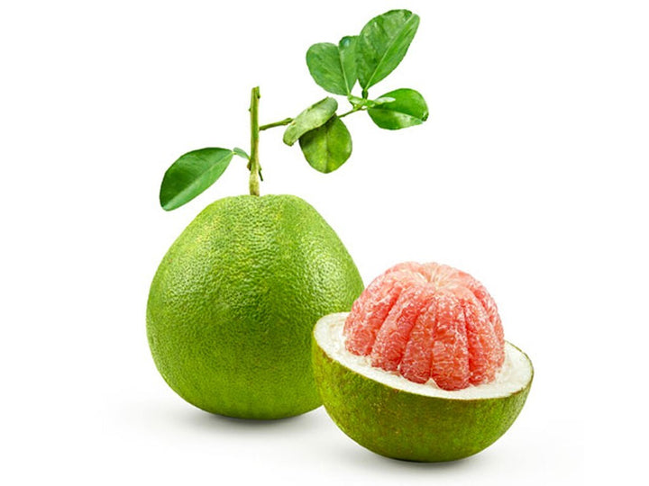 Nam Roi Vietnamese White Pomelo seeds for planting - Heirloom & Non-GMO large sweet citrus fruit seeds