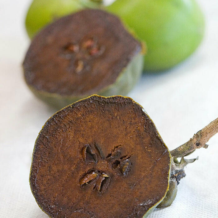 Diospyros Digyna Chocolate Pudding Fruit Seeds for Planting – heirloom non-GMO seeds, exotic sweet trees – 100 pcs