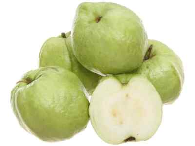 Crystal Guava fruit seeds for planting – Heirloom & Non-GMO garden seeds, crisp and juicy tropical variety