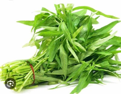 Pak-Boong Seeds for Planting – Heirloom & Non-GMO Lush Water Spinach Green Variety