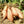 Yellow Sweet Potato Seeds for Planting – Heirloom Non-GMO Nutritious Root Vegetable Seeds with High Germination