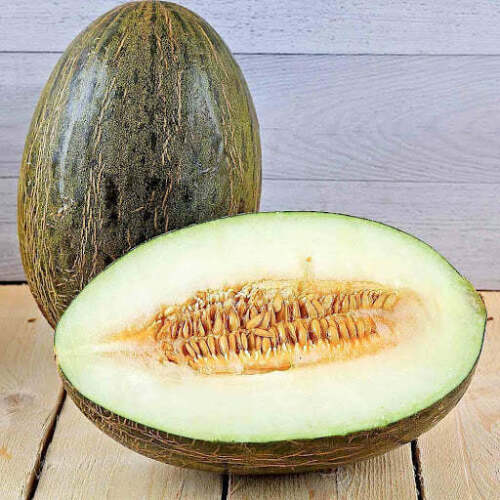 Melon Piel De Sapo fruit seeds for planting - Heirloom & Non-GMO Garden seeds for sweet Spanish melons