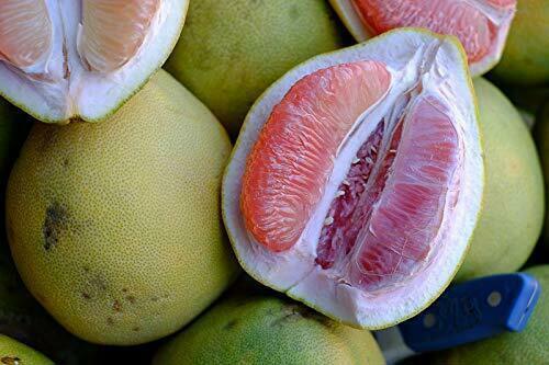 Pomelo fruit seeds for planting – Heirloom & Non-GMO Garden seeds