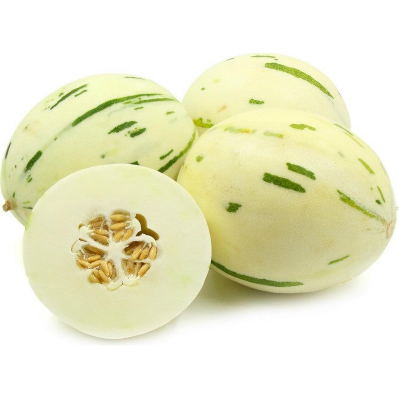 White Leopard Melon seeds for planting - Heirloom & Non-GMO rare fruit garden seeds