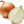Yellow Onion Seeds for Planting – Heirloom Non-GMO High Germination Organic Garden Seeds for High-Yield Harvests
