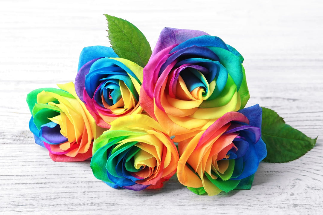 multicolor rose seeds Multi-Colored Rose Flower Seeds for Planting – Heirloom, Non-GMO, High –  Earthechoseeds