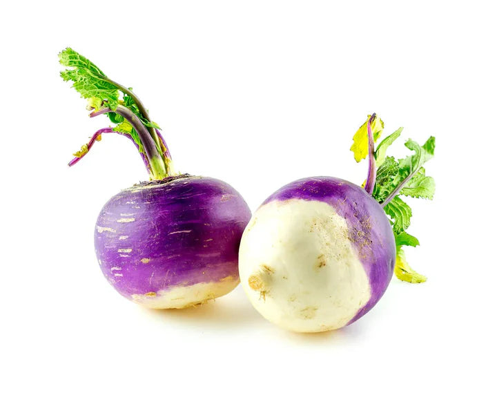 Rutabaga American Purple Seeds – Heirloom, High-Yield Root Vegetable for Home Gardens