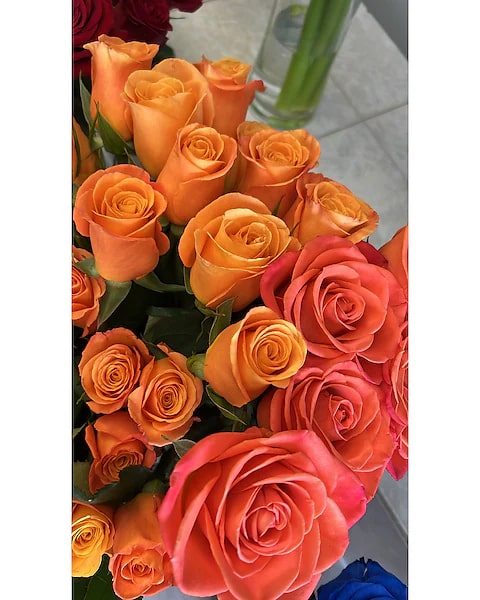 Orange Mix Unique Roses Flower Seeds for Planting – Heirloom, Non-GMO, High Germination Garden Seeds