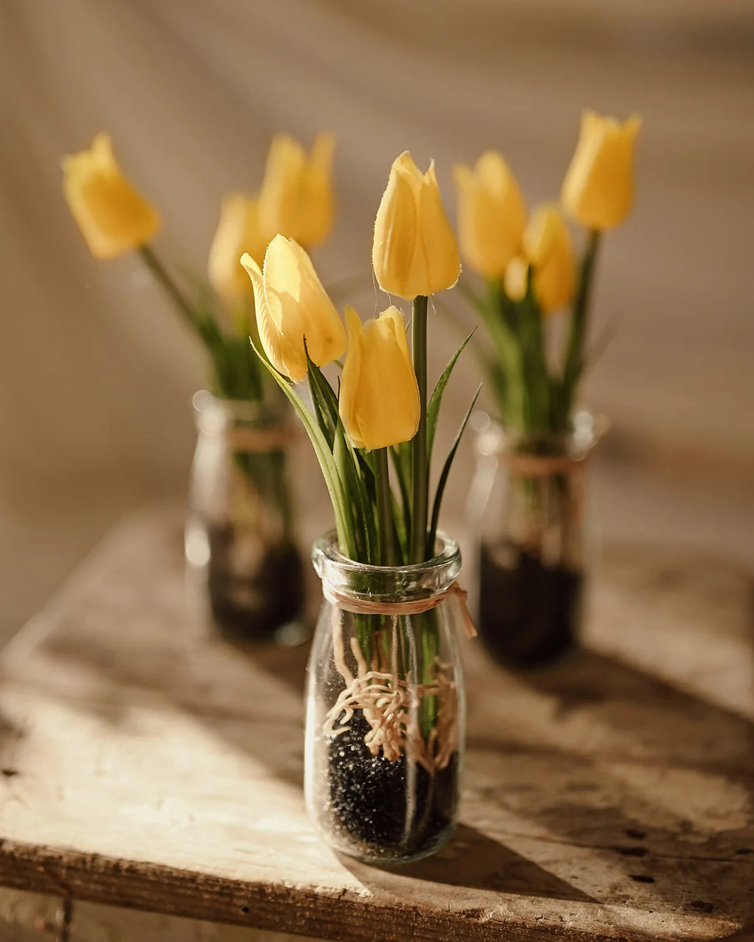 Light Yellow Tulip Flower Seeds – Wildflower Mix, Heirloom & Non-GMO Seeds for Home Garden